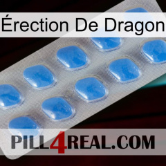 Érection De Dragon 22